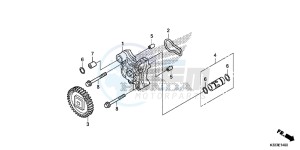 CBR300RAF CBR300RA Europe Direct - (ED) drawing OIL PUMP