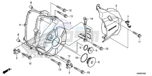 MSX125E MSX125 UK - (E) drawing LEFT CRANKCASE COVER