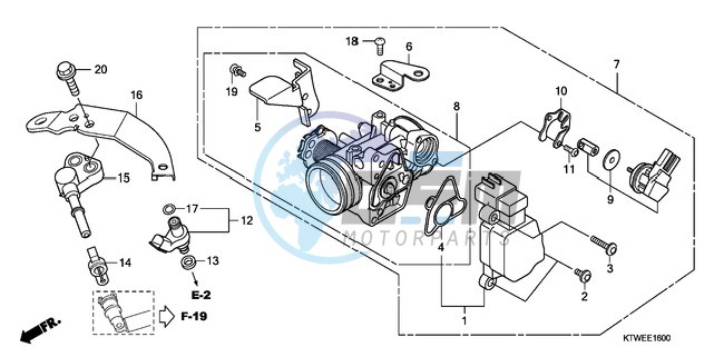 THROTTLE BODY