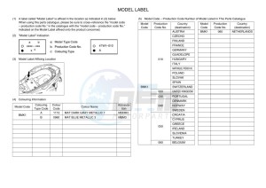 CZD300-A XMAX 300 (BMK1) drawing Infopage-5