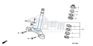 CBF125MA Europe Direct - (ED) drawing STEERING STEM