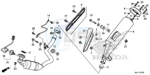 NC750DE Integra - NC750D Europe Direct - (ED) drawing EXHAUST MUFFLER