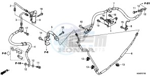 NSS300D Forza - NSS300D UK - (E) drawing REAR BRAKE PIPE ( NSS300)