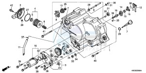 TRX500FPED TRX500FPE ED drawing FRONT CRANKCASE COVER