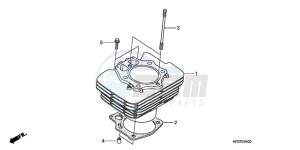 TRX500FEA Australia - (U / EC) drawing CYLINDER