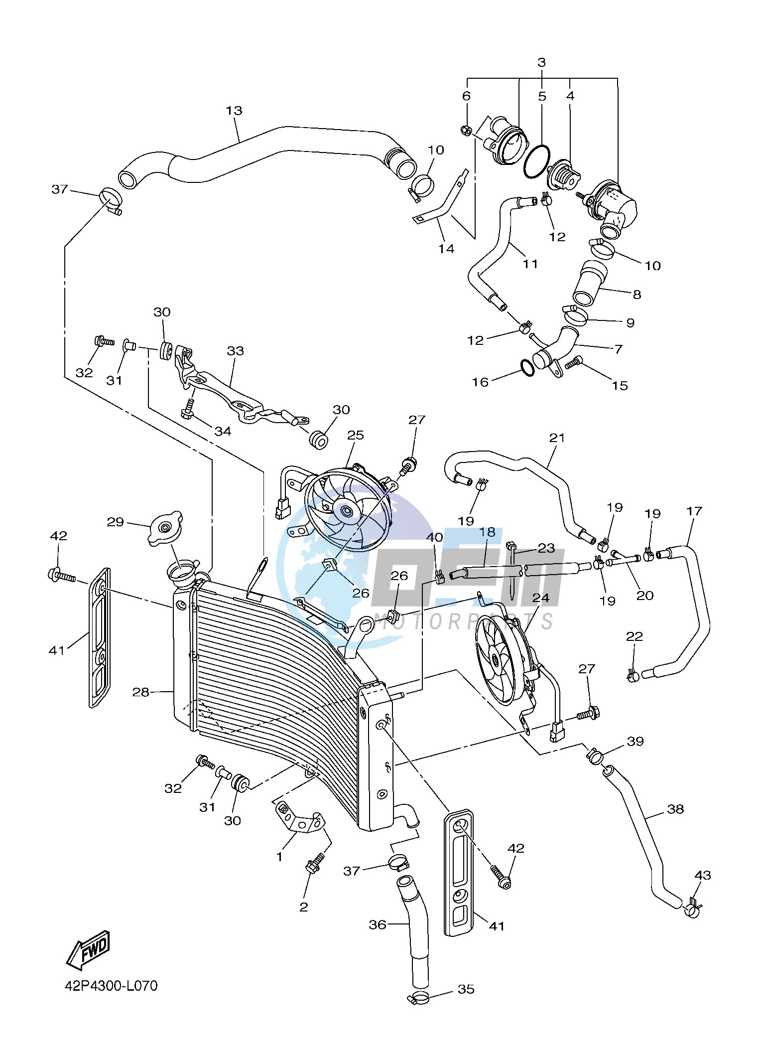 RADIATOR & HOSE