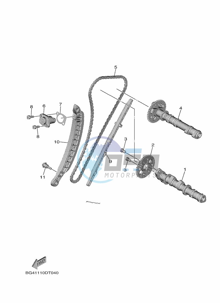 CAMSHAFT & CHAIN