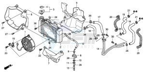 SH150R 125 drawing RADIATOR