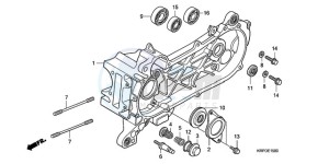 SCV100F9 Turkey - (TU) drawing LEFT CRANKCASE