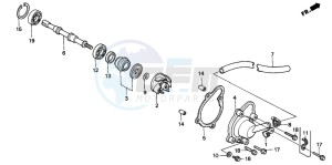 CH125 SPACY 125 drawing WATER PUMP