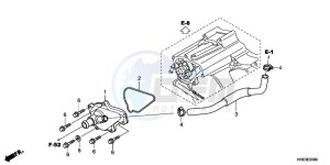 TRX500FMC ED drawing WATER PUMP COVER