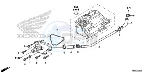 TRX420FA1F TRX420 Europe Direct - (ED) drawing WATER PUMP COVER