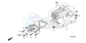 TRX420FEA Australia - (U / 2U 4WD) drawing WATER PUMP COVER