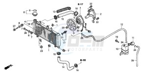 CBF600S drawing RADIATOR (CBF600S/SA)