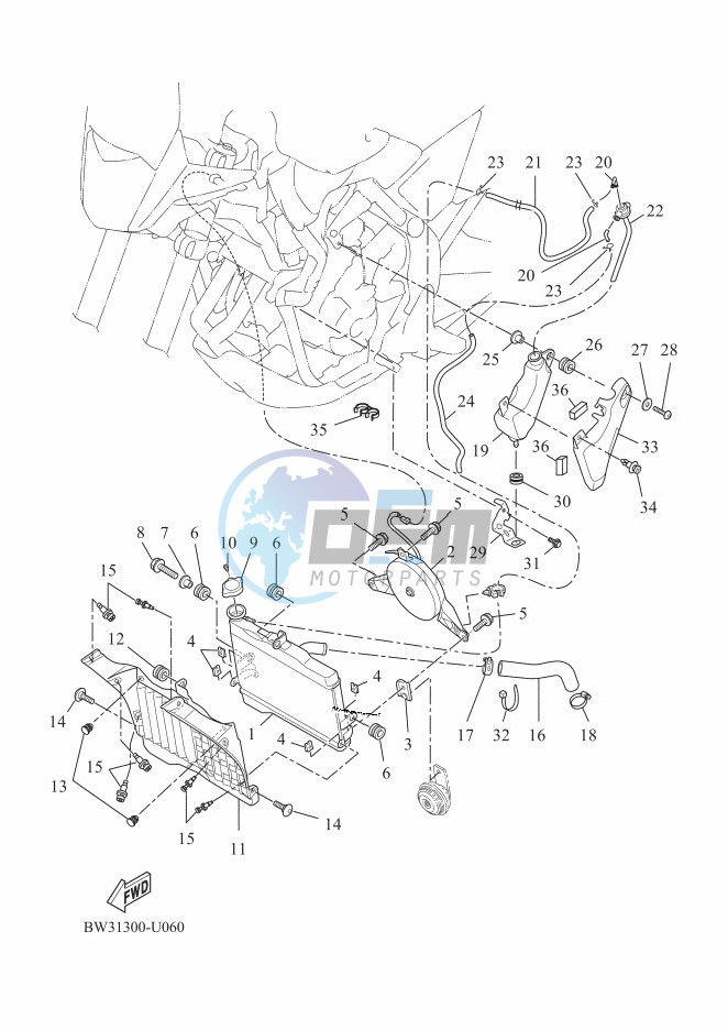 RADIATOR & HOSE