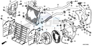 TRX500FM1H TRX500 ED drawing RADIATOR