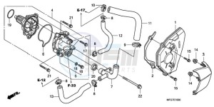 CB600F39 Europe Direct - (ED / ST) drawing WATER PUMP