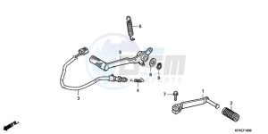 VTR2509 F / CMF LL drawing PEDAL