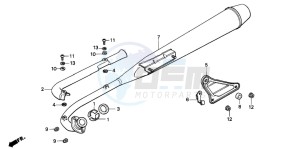 C50S drawing EXHAUST MUFFLER