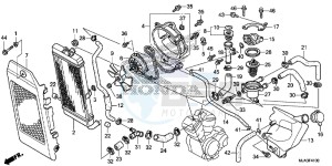 VT750CSD Shadow - VT750CS-D 2ED - (2ED) drawing RADIATOR (VT750C/C2S/CA/CS)