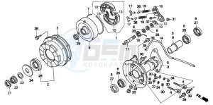 TRX200D FOURTRAX 200 drawing REAR BRAKE DRUM