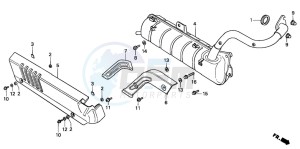 SH50D SCOOPY drawing EXHAUST MUFFLER