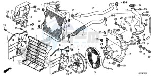 TRX420FA5G TRX420F Europe Direct - (ED) drawing RADIATOR