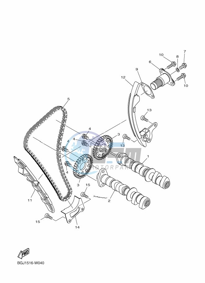 CAMSHAFT & CHAIN