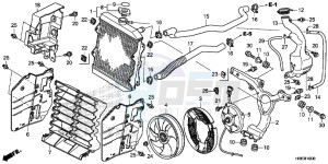 TRX500FA5F TRX500FA Europe Direct - (ED) drawing RADIATOR