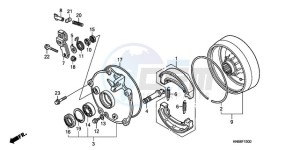 TRX250X9 Australia - (U) drawing REAR BRAKE DRUM