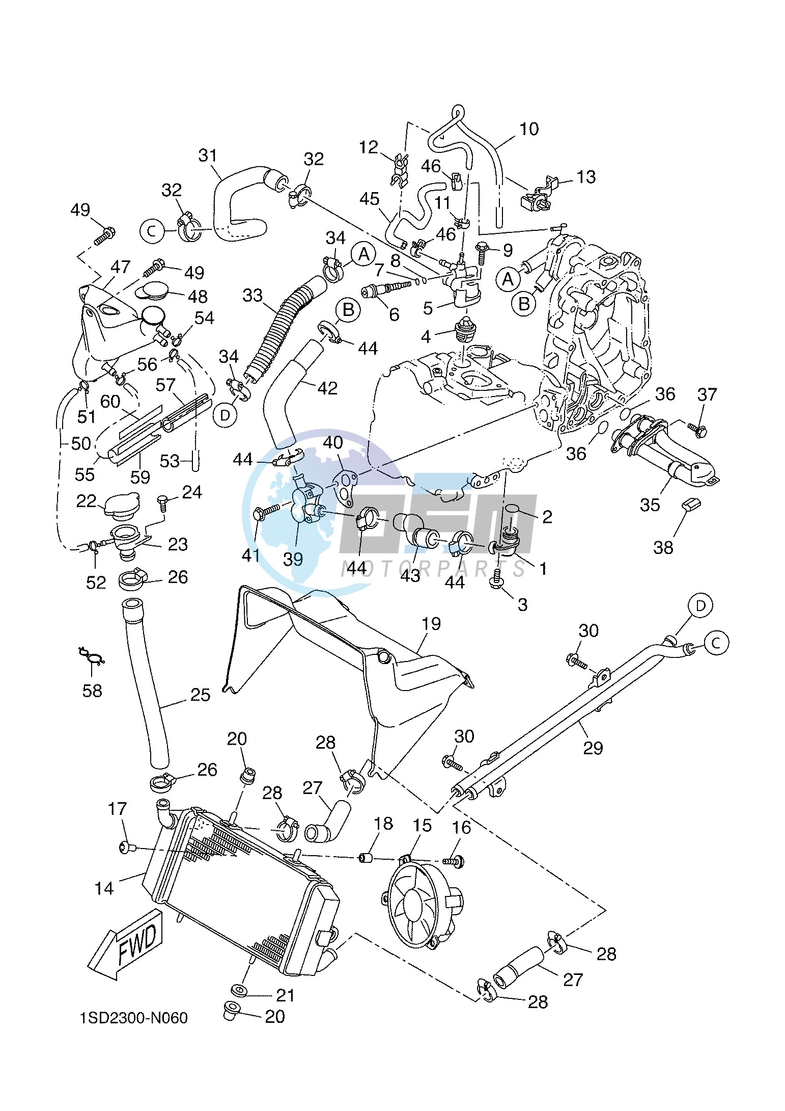 RADIATOR & HOSE