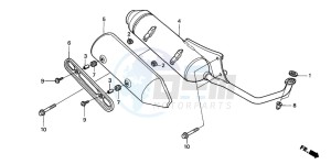 NES125 drawing EXHAUST MUFFLER