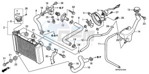 CBR125RWA France - (F / CMF WH) drawing RADIATOR (CBR125RW7/RW9/RWA)