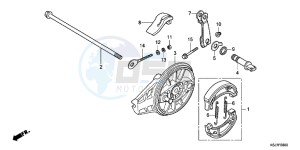 CRF100FD CRF100F Europe Direct - (ED) drawing REAR BRAKE PANEL