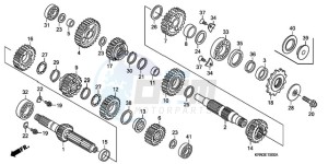 CRF250R9 Europe Direct - (ED / CMF) drawing TRANSMISSION