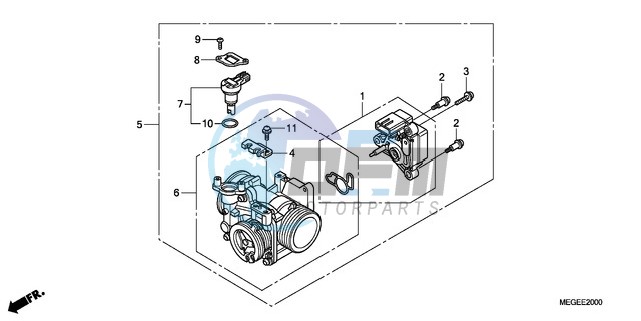 THROTTLE BODY