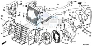 TRX420FE1H Europe Direct - (ED) drawing RADIATOR