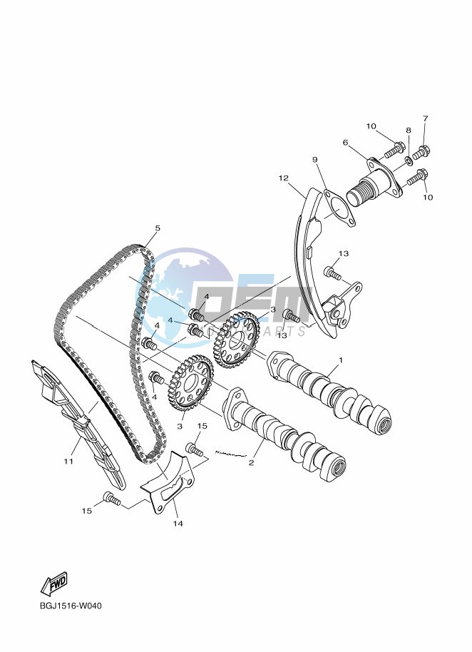 CAMSHAFT & CHAIN