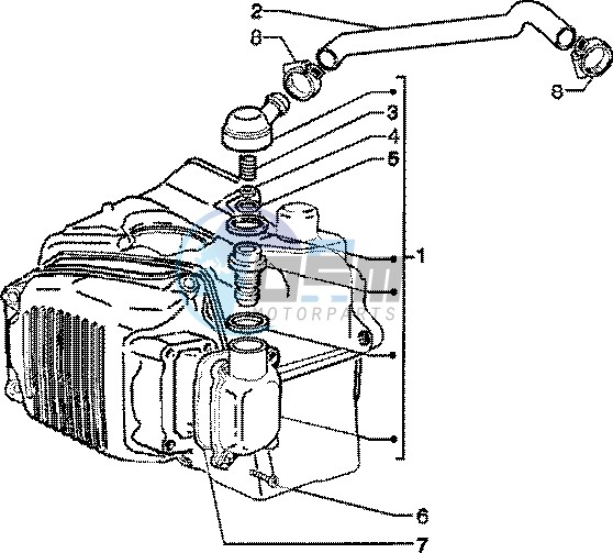 Oil drain valve