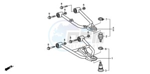 TRX250EX SPORTRAX 250 EX drawing FRONT ARM (TRX250EX1/2/3/4/5)