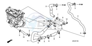 CBF1000TA Europe Direct - (ED / ABS) drawing WATER PIPE