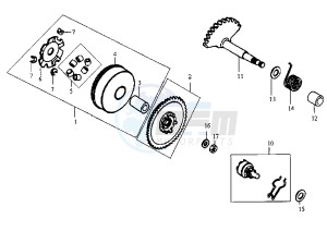 JUNGLE - 50 cc drawing DRIVING PULLEY