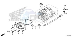 TRX420FA1G TRX420 Europe Direct - (ED) drawing WATER PUMP COVER