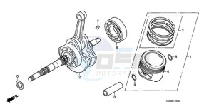 TRX250TEA Australia - (U / EC) drawing CRANKSHAFT/PISTON