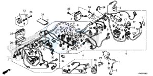 TRX500FM1H TRX500 ED drawing WIRE HARNESS