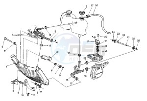 RAPTOR 125 drawing COOLING SYSTEM