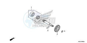 CRF150RBD CRF150RB Europe Direct - (ED) drawing OIL PUMP