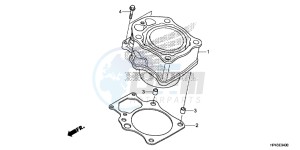 TRX420FED TRX420 Europe Direct - (ED) drawing CYLINDER