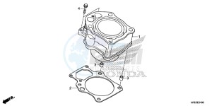 TRX500FM6H Europe Direct - (ED) drawing CYLINDER