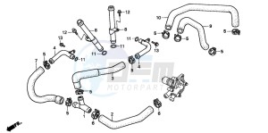 XL600V TRANSALP drawing WATER PIPE